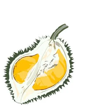Illustration of durian. Stock Illustration
