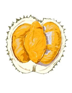 Illustration of durian. Illustrazione stock