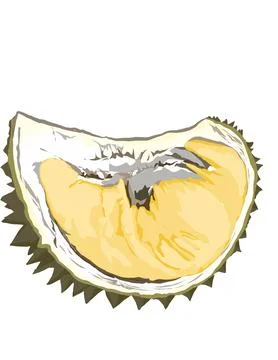 Illustration of durian. Stock Illustration