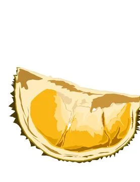 Illustration of durian. Stock Illustration