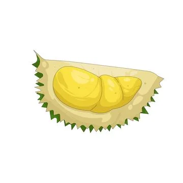 Illustration of durian Stock-Illustration