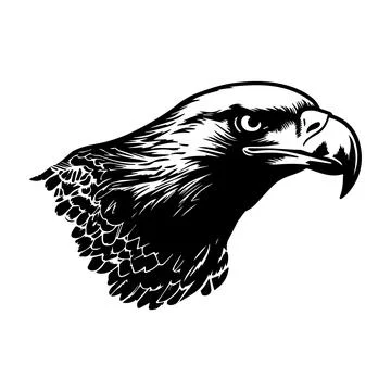 Illustration of eagle head in black and white style. Stock Illustration