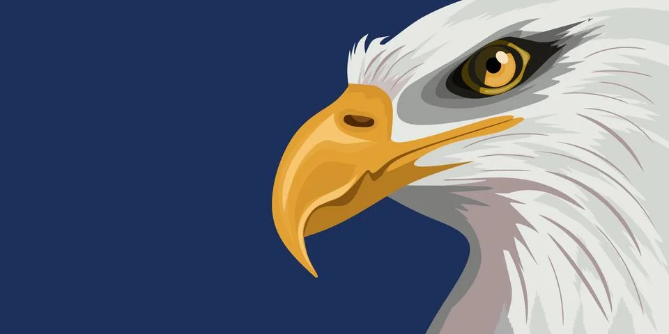Illustration of eagle head 스톡 일러스트
