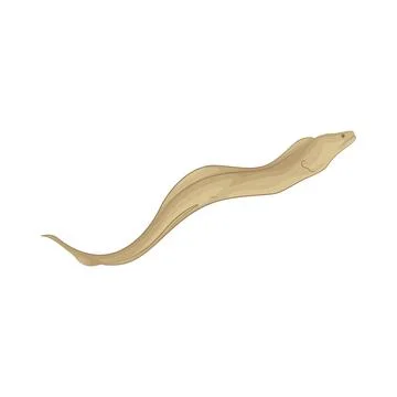 Illustration of eel Stock Illustration