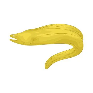 Illustration of eel Stock Illustration