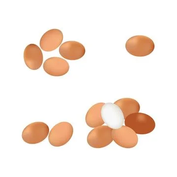 Illustration of egg vector design on a white background Stock Illustration