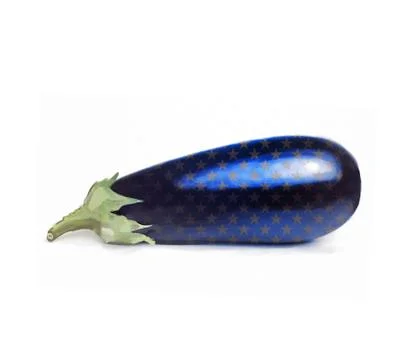 Illustration of eggplant Illustrazione stock