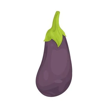 Illustration of Eggplant Stock Illustration