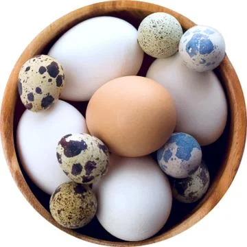 Illustration of eggs Stock Illustration