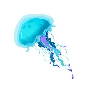 Illustration: Elements Set: Jellyfish. Realistic Cartoon Life Style. 스톡 일러스트