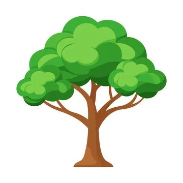 Illustration of Eucalyptus tree isolated on white Stock Illustration