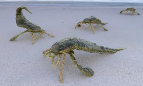 Illustration of Eurypterids on a Beach Stock Illustration