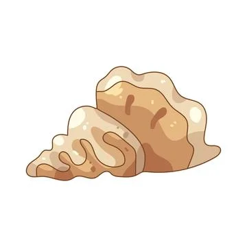 Illustration of exotic seashell 库存插图