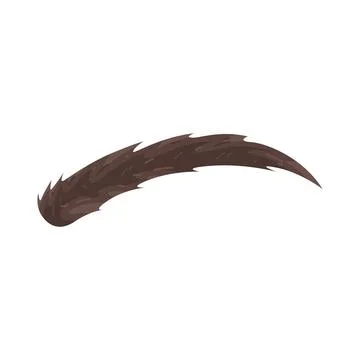 Illustration of Eyebrow Stock Illustration