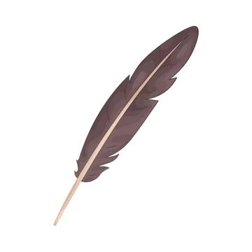 Illustration of feather Stock Illustration