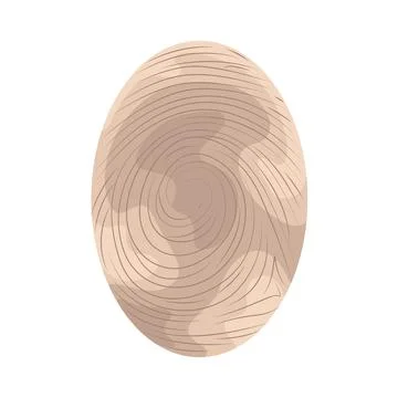 Illustration of fingerprint Stock Illustration