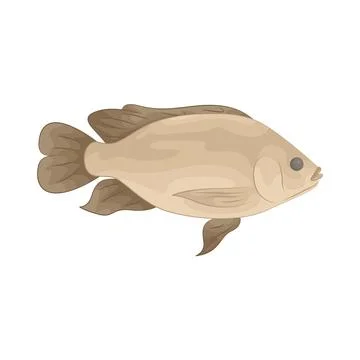 Illustration of fish Stock Illustration