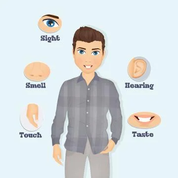 Illustration of five senses Stock Illustration