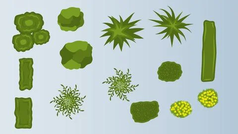 Illustration flat cartoon top view of tree and bushes 스톡 일러스트