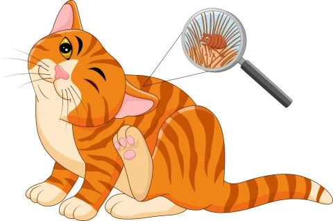 Illustration of flea Infested cat Stock Illustration