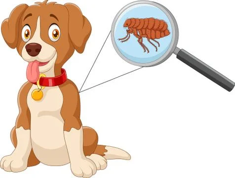 Illustration of flea Infested Dog Stock Illustration