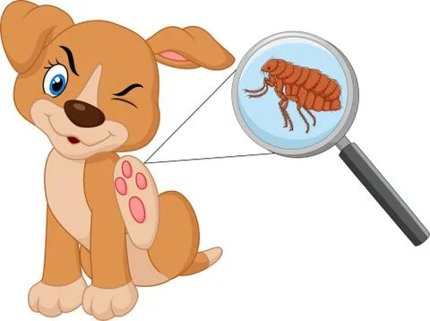 Illustration of flea Infested Dog Stock Illustration