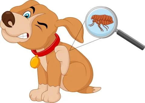 Illustration of flea Infested Dog Stock Illustration