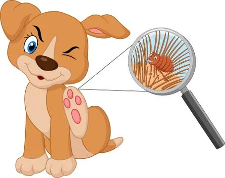 Illustration of flea Infested Dog Stock-Illustration
