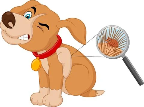 Illustration of flea Infested Dog Stock-Illustration
