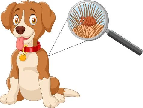 Illustration of flea Infested Dog Illustrazione stock