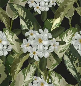 Illustration of floral seamless pattern 스톡 사진