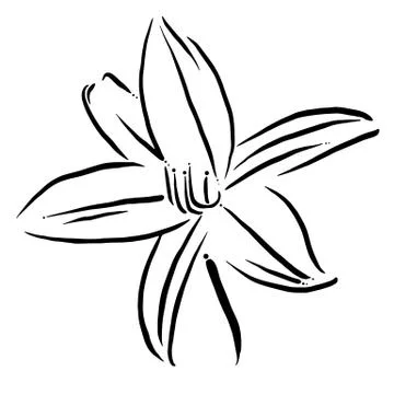 Illustration of a flower Illustrazione stock
