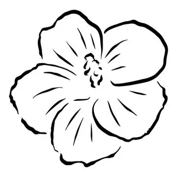 Illustration of a flower Stock Illustration