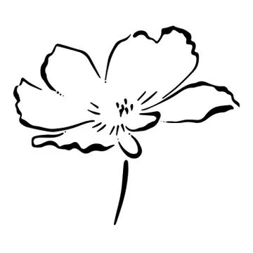 Illustration of a flower Stock Illustration