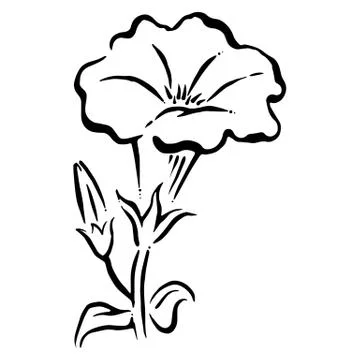 Illustration of a flower Stock Illustration