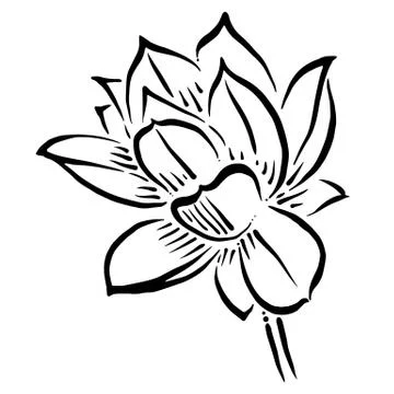 Illustration of a flower Illustrazione stock