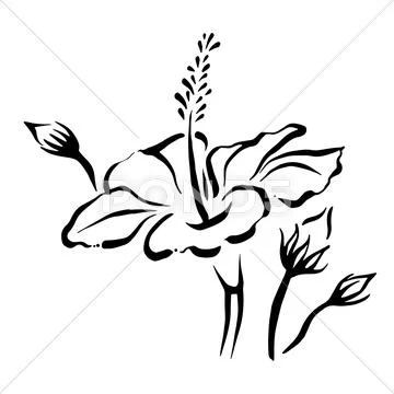 Illustration Of A Flower