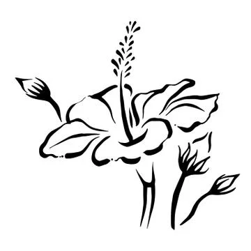 Illustration of a flower Stock Illustration
