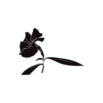Illustration of flower Stock Illustration