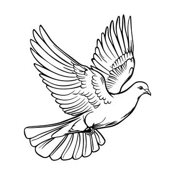 Illustration of a flying dove. Vector. Stock Illustration
