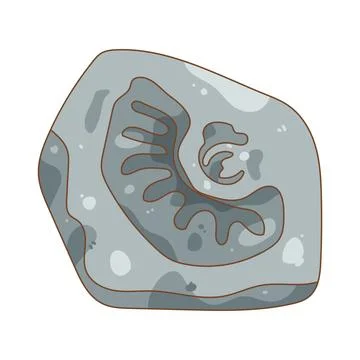 Illustration of fossilized shell Stock Illustration