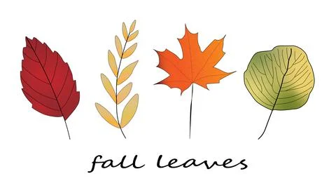 Illustration of four bright colored autumn leaves with message underneath. Fall. Stock Illustration