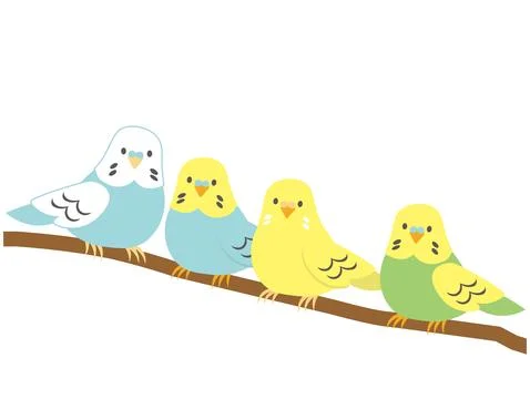 Illustration of four budgerigars lined up on a tree branch. Stock Illustration