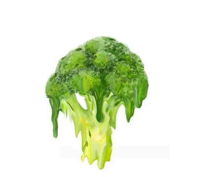 Illustration of fresh broccoli Illustrazione stock
