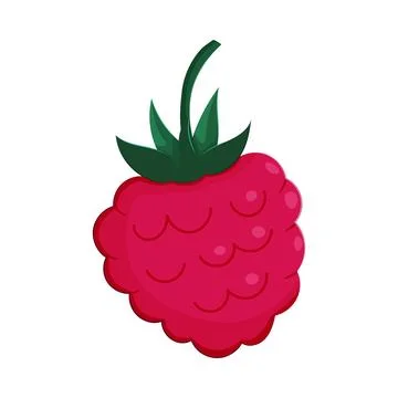 Illustration of a fresh raspberry with green top, simple and colorful design 스톡 일러스트