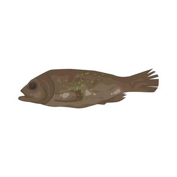 Illustration of Fried fish Stock Illustration