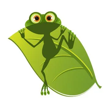 Illustration of a frog on a leaf Illustrazione stock