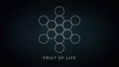 Illustration of Fruit of Life Stock Illustration