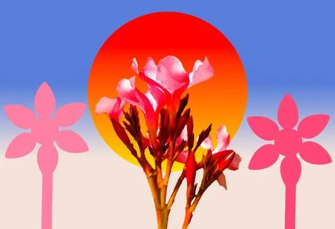 Illustration full sunset moon, with the image of the flowers Illustration