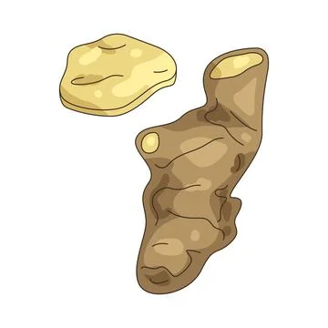 Illustration of Ginger Stock Illustration